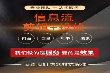 XX行业竞价广告的投放策略与效果分析